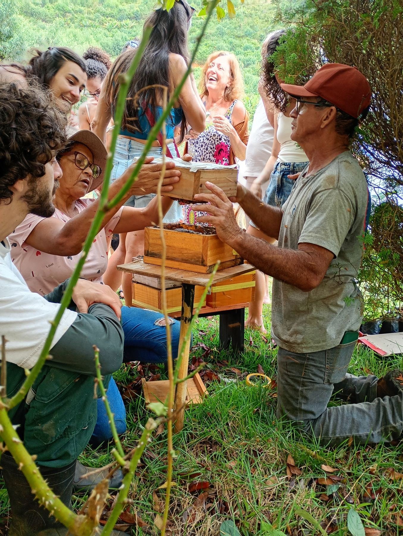 Grupo reunido ao redor de caixas de abelhas nativas no jardim